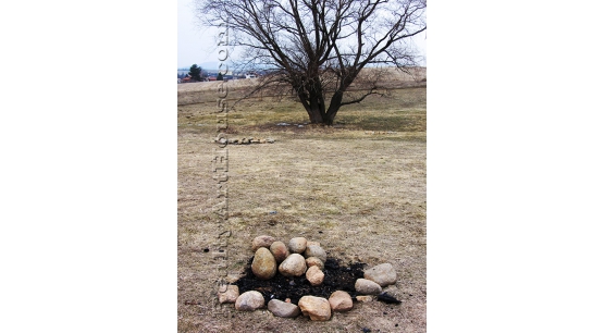 Парцел 1698 кв.м.