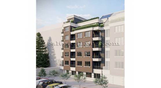 Timok 37, dvor-proekt